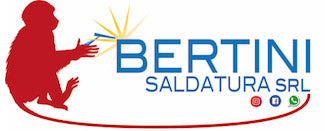 Bertini Saldatura srl